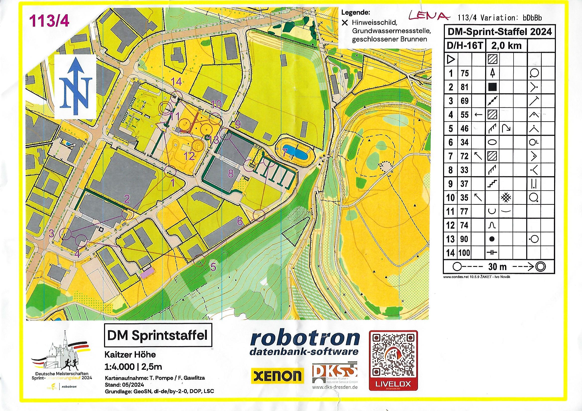 DM Sprintstaffel Dresden (16.06.2024)