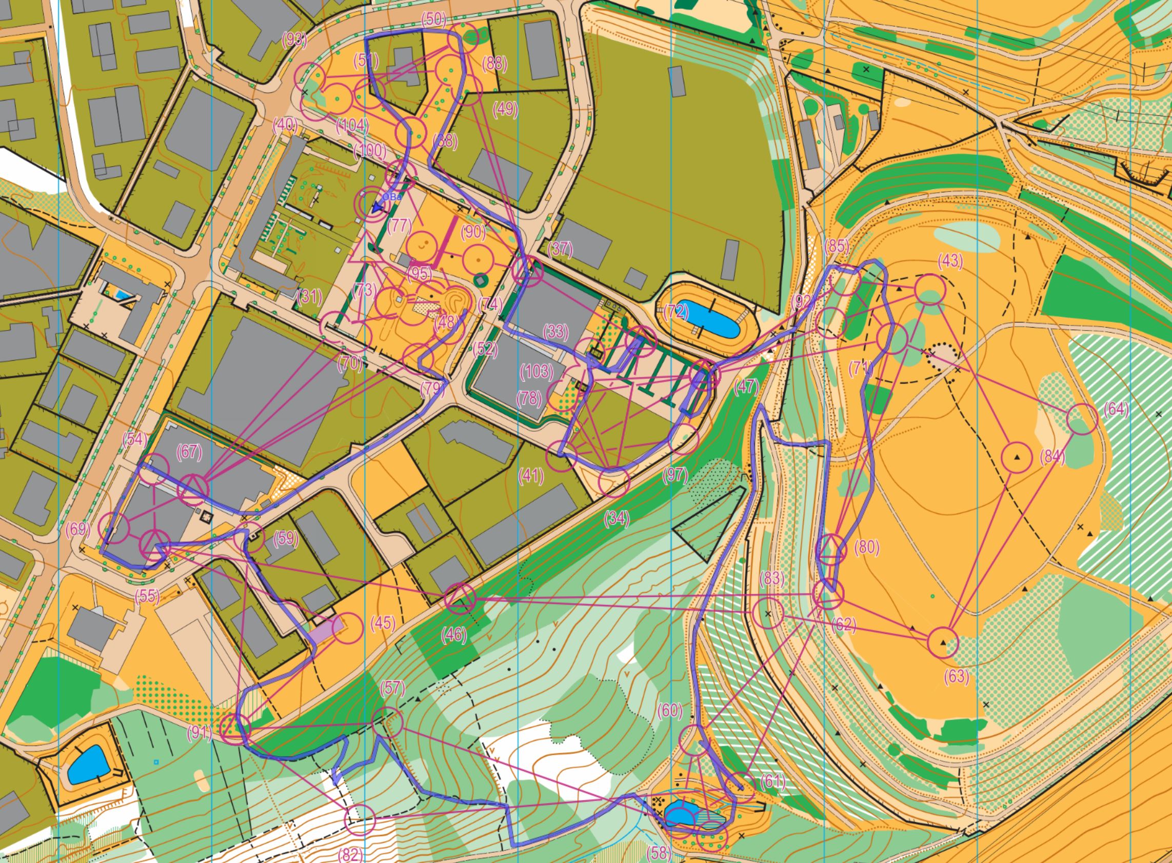 DM Sprintstaffel Dresden (2024-06-16)
