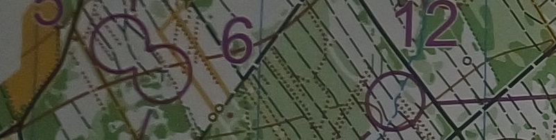 25. 24h-OL 2026 in Heyda (16.05.2026)